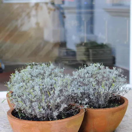 Turisticos Noray Argoños