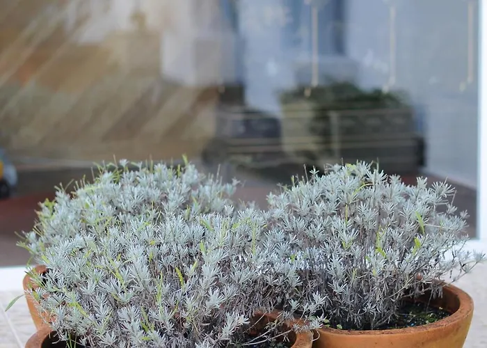 Turisticos Noray Argoños